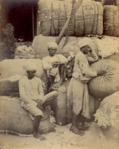 KITLV 87171 - William Johnson - Cotton weighers, Bombay, British India - Before 1860
