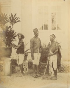 KITLV 87175 - William Johnson - Gardeners, presumably at Bombay, British India - Before 1860