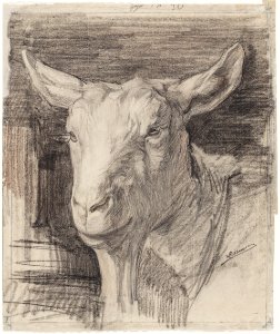 Klaas van Leeuwen - Kop van een geit (1915)