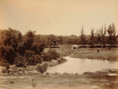 KITLV 92032 - Unknown - Cubbon Park in Bangalore, India - Around 1870 photo