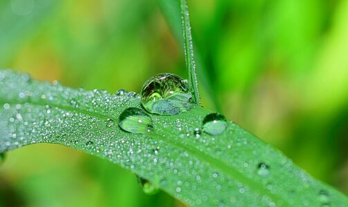 Green rain water photo