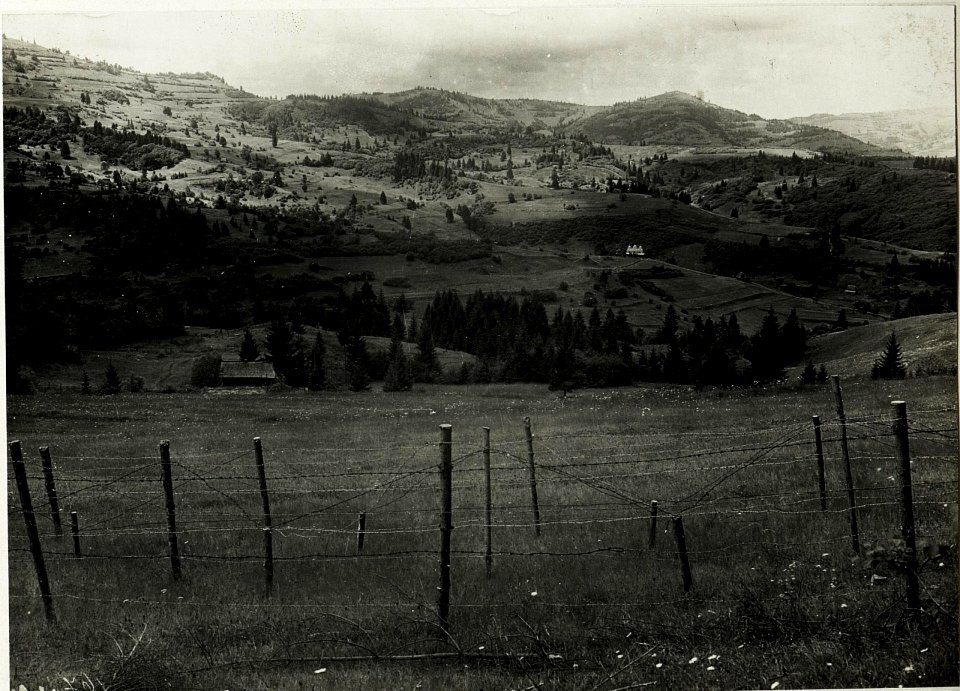 Klewa.Westhang, Blick auf die Pliszka. (BildID 15431660)