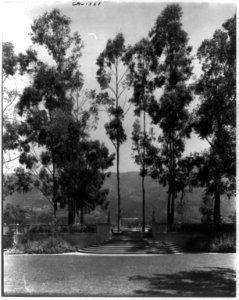 Knapp estate, Santa Barbara, Calif. LCCN2002714629