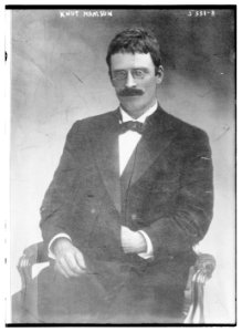 Knut Hamsun LCCN2014719536