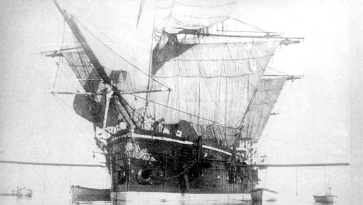 Knyaz'Pozharskiy1869-1906a