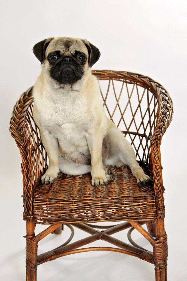 Sit no person chair
