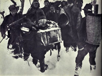 Kmet v gozdu pod Smrekovcem sporoča borcem 14. divizije, da so se Nemci umaknili v dolino