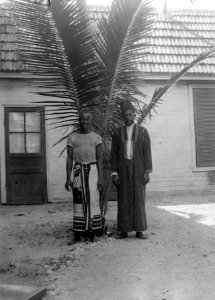 Kocken och betjänten hos Richmanns vid kokospalmen på gården. Datum, 1906. Ort, Majunga, Madagaskar - SMVK - 021825 photo
