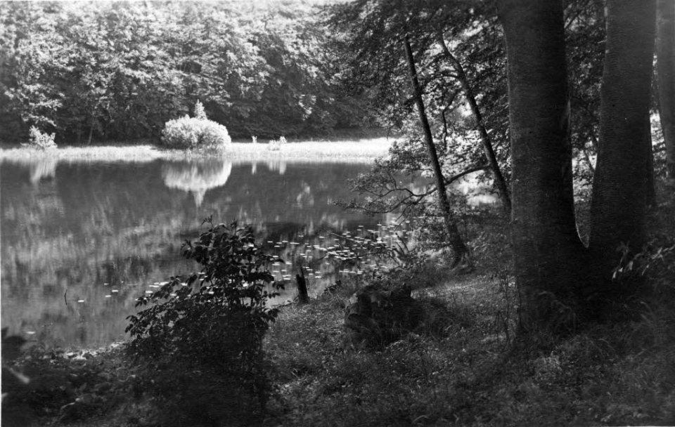Kolksee bei Preetz (Kiel 54.317)