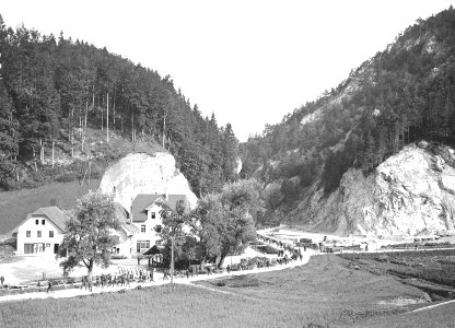 Kolonnenmarsch einer Mitrailleureailleur Kompanie im Jura - CH-BAR - 3239988