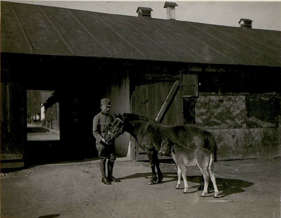 Komdt. des mobilen Schanzzeugdepots 7. Warmbad-Villach. (BildID 15515968)