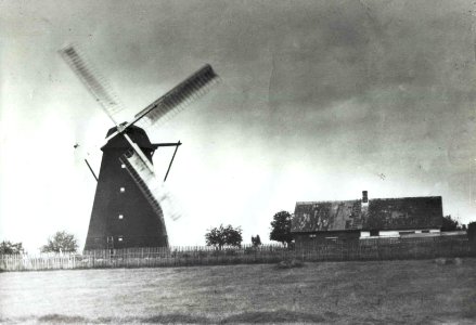 Koni tuulik 1893 photo