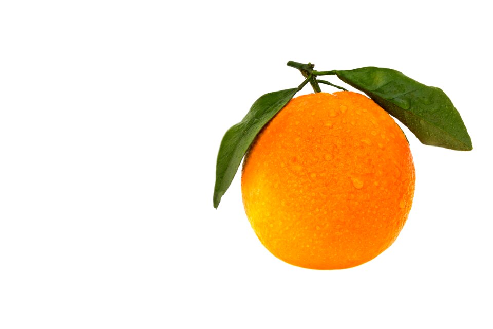Disjunct juicy tropical