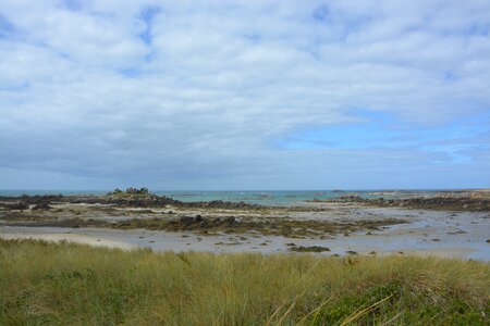 Low tide sea rocks photo