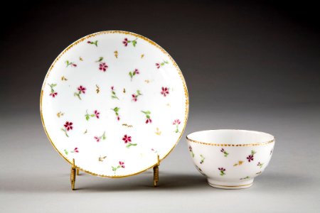 Kopp med fat. Nyon. Schweitz - Hallwylska museet - 86904