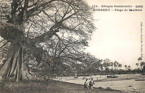 Konakry-Plage de Boulbiné