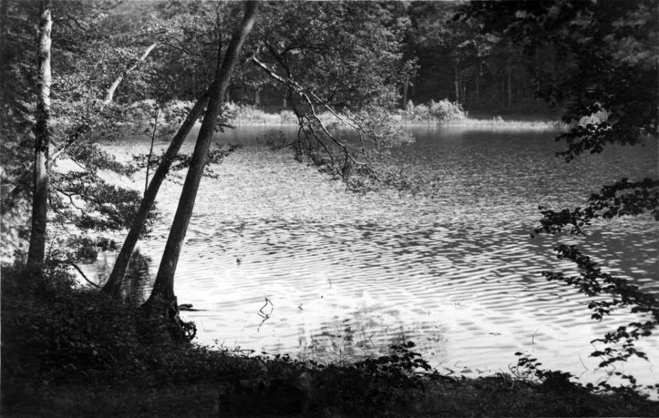 Kolksee bei Preetz (Kiel 54.316)