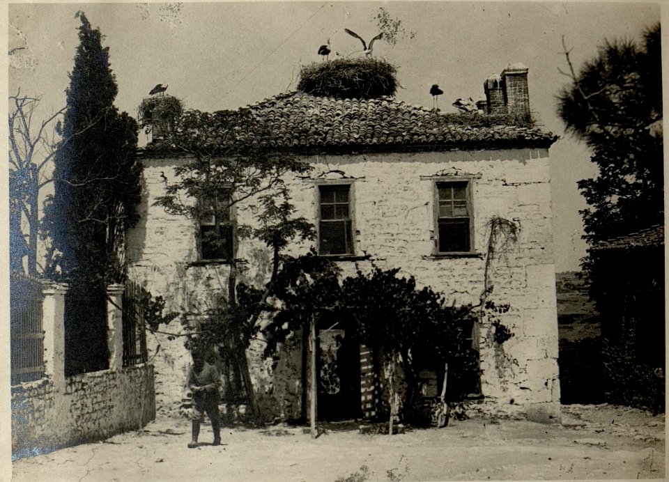 Kolvert Ciftlik , Sitz der 24. Infanteriedivision (wahrscheinlich türkisch) (BildID 15545623)