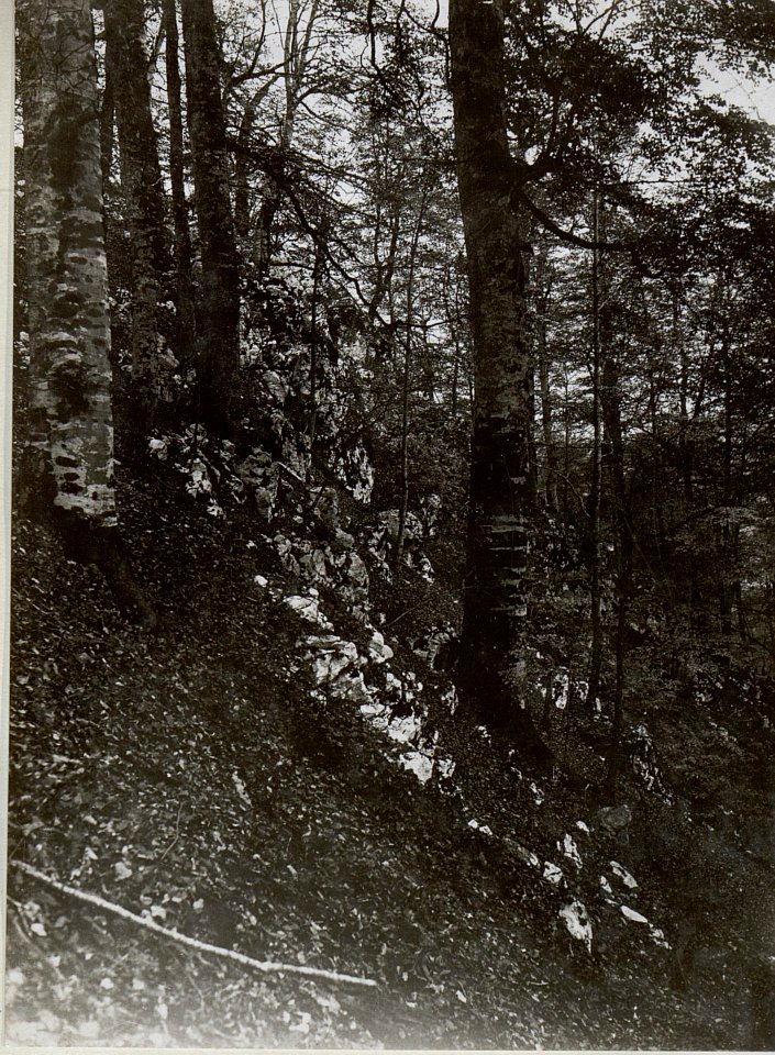 Kote 864 Felswand am Osthang.Von Südosten aufgenommen. (BildID 15660866)