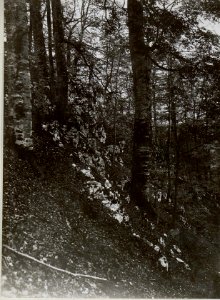 Kote 864 Felswand am Osthang.Von Südosten aufgenommen. (BildID 15660866)