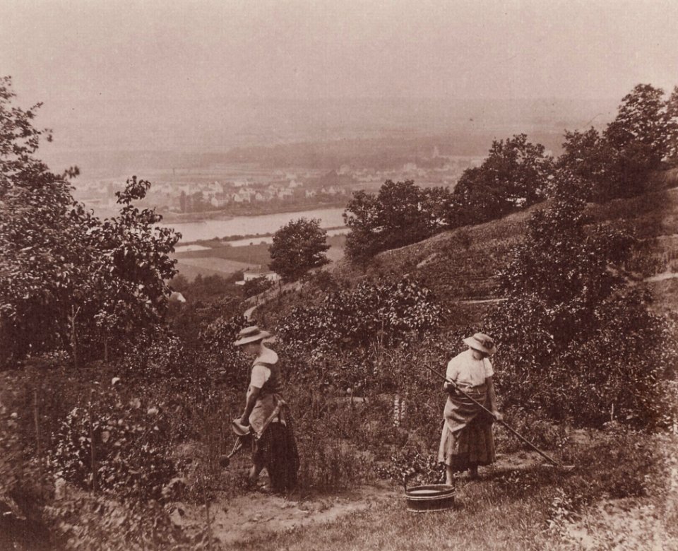 Kotzsch, Carl Friedrich August - Blick aus Kotzschs Berg (Zeno Fotografie)
