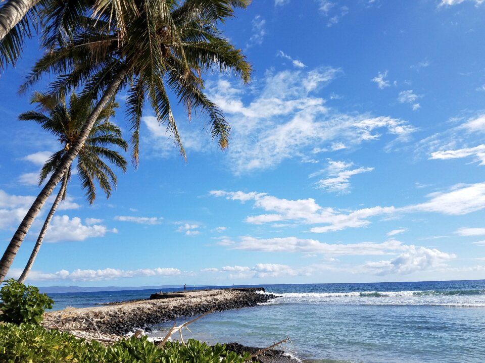 Fishing bright beach day coconut trees