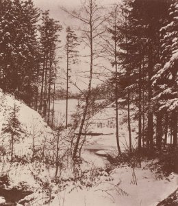 Kotzsch, Carl Friedrich August - Im Bühlauer Grund (Zeno Fotografie)