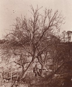 Kotzsch, Carl Friedrich August - In Kotzschs Berg (Zeno Fotografie)