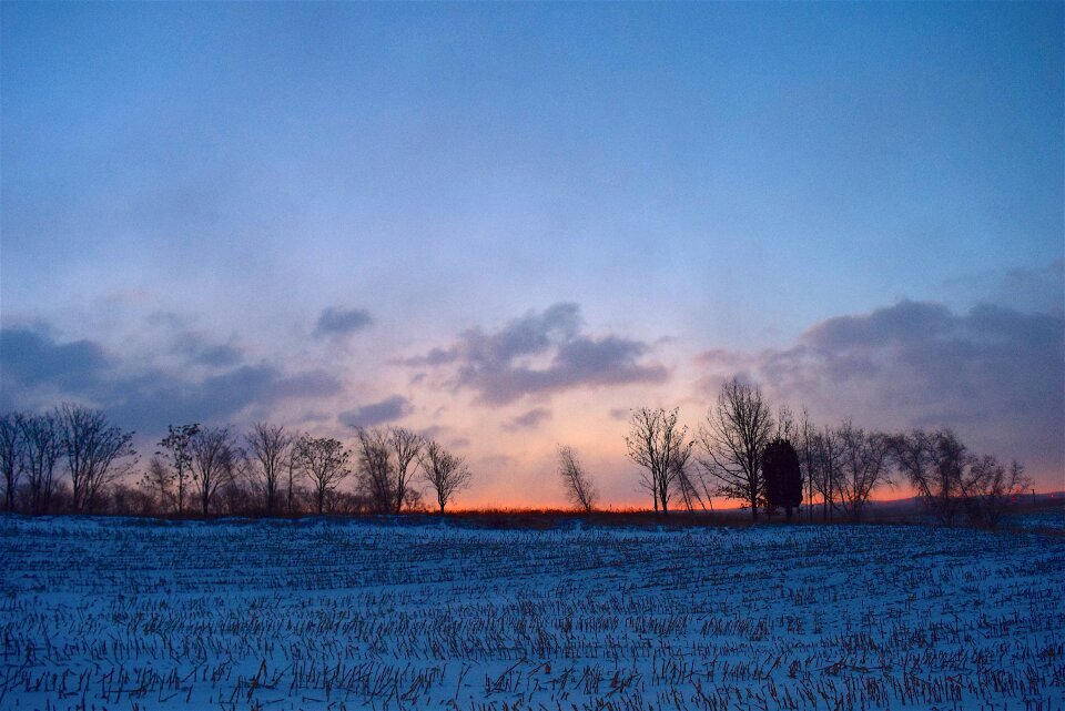 Snow trees clouds
