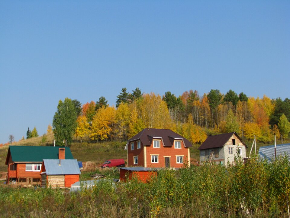 Hills golden autumn forest