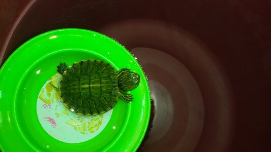 My baby in water love