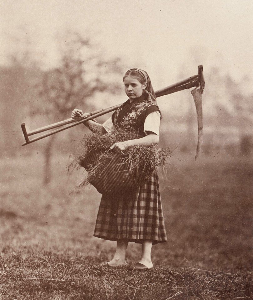 Kotzsch, Carl Friedrich August - Neuberts Rose mit Rechen und Sense (Zeno Fotografie)