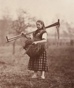 Kotzsch, Carl Friedrich August - Neuberts Rose mit Rechen und Sense (Zeno Fotografie)
