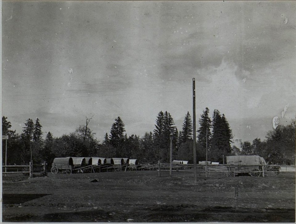 Korpstrainplatz des 8.Korpskommandos in Perehinsko, Februar 1916 (BildID 15455296)