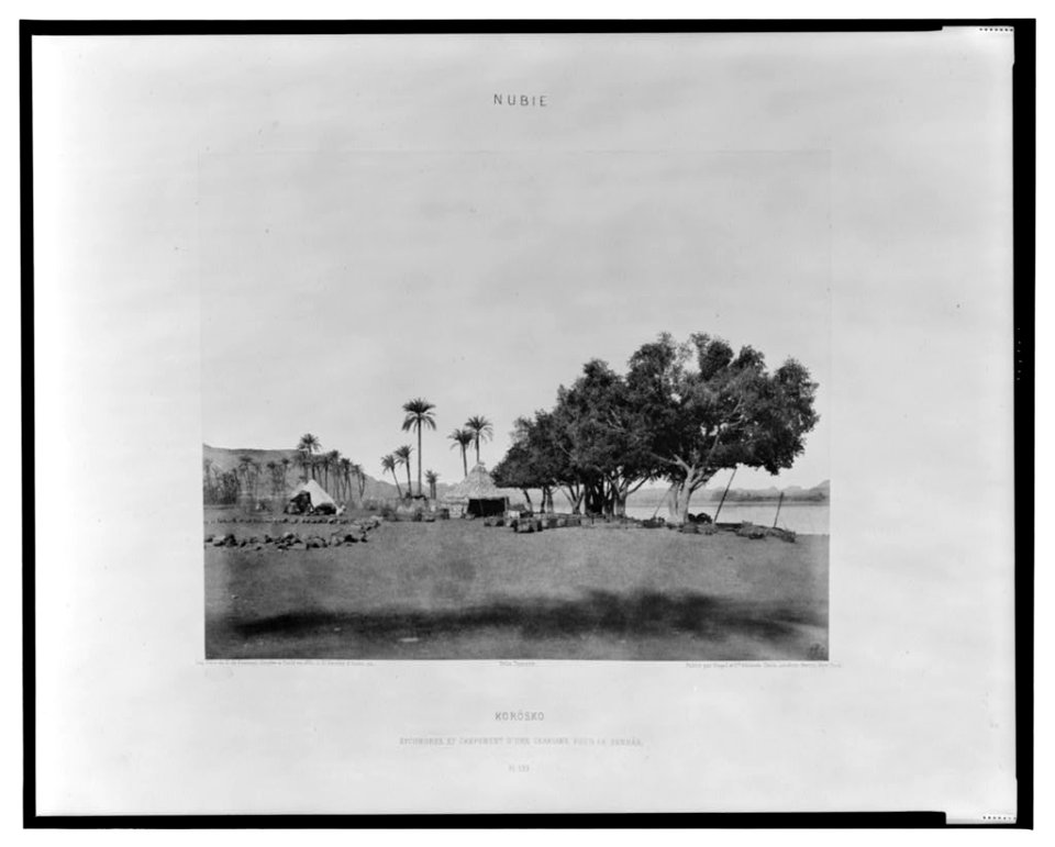 Korósko - sycomores et campement d'une caravane pour le sennâr - FT (monogram) Félix Teynard. LCCN2001695379