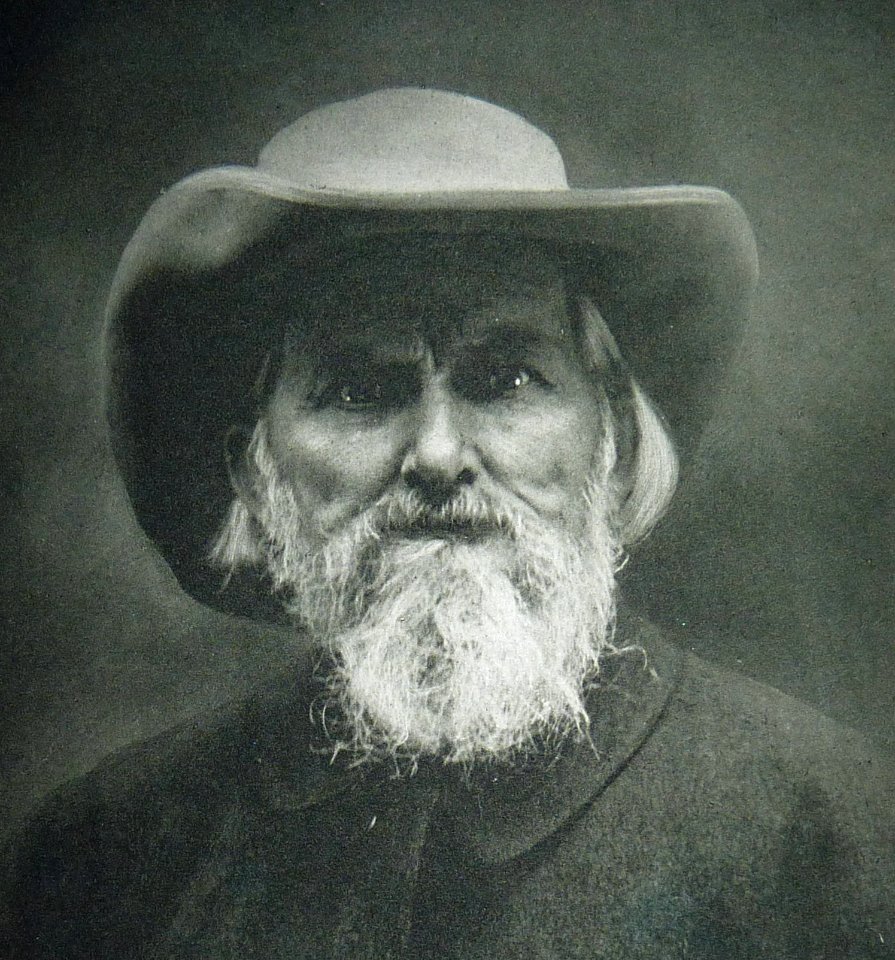 Krall Wilhelm von Osten 2