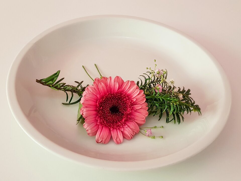 Gypsophila branch plate white