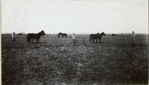 Kriegsalbum 106, Bild 32589 (BildID 15722394)