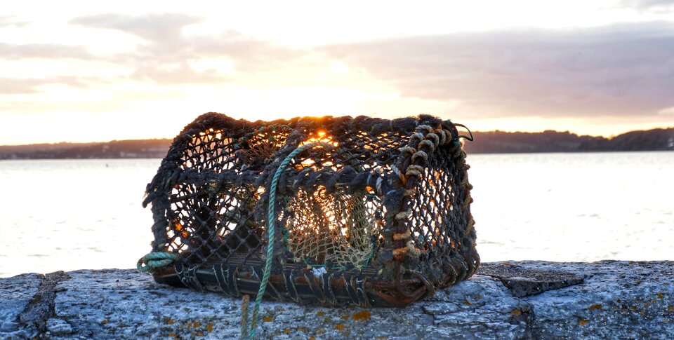 Pot sunset ireland