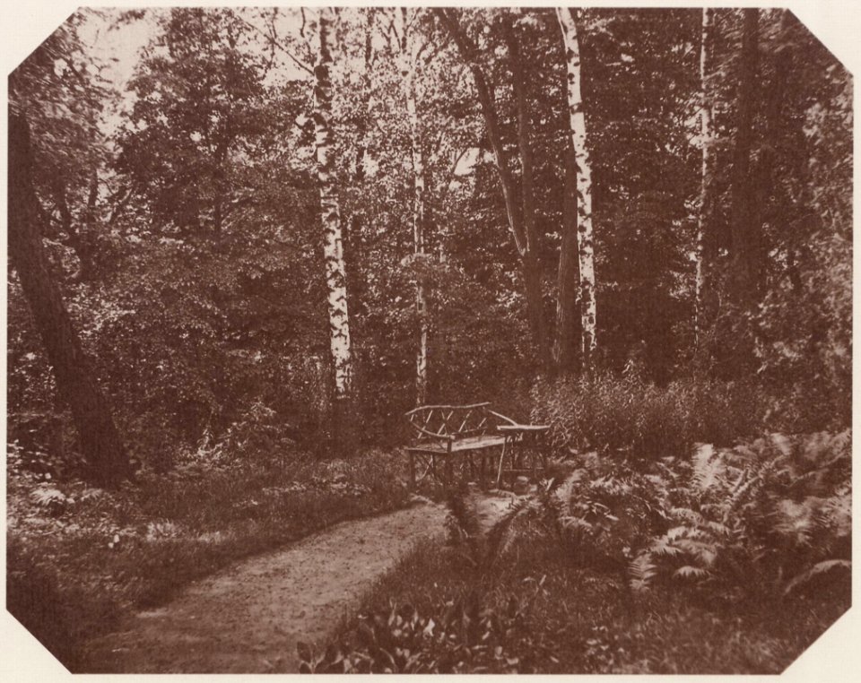 Kotzsch, Carl Friedrich August - Im Park zu Wachwitz (Zeno Fotografie)