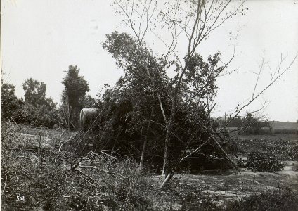 Kriegsalbum 107, Bild 32801 (BildID 15724277)