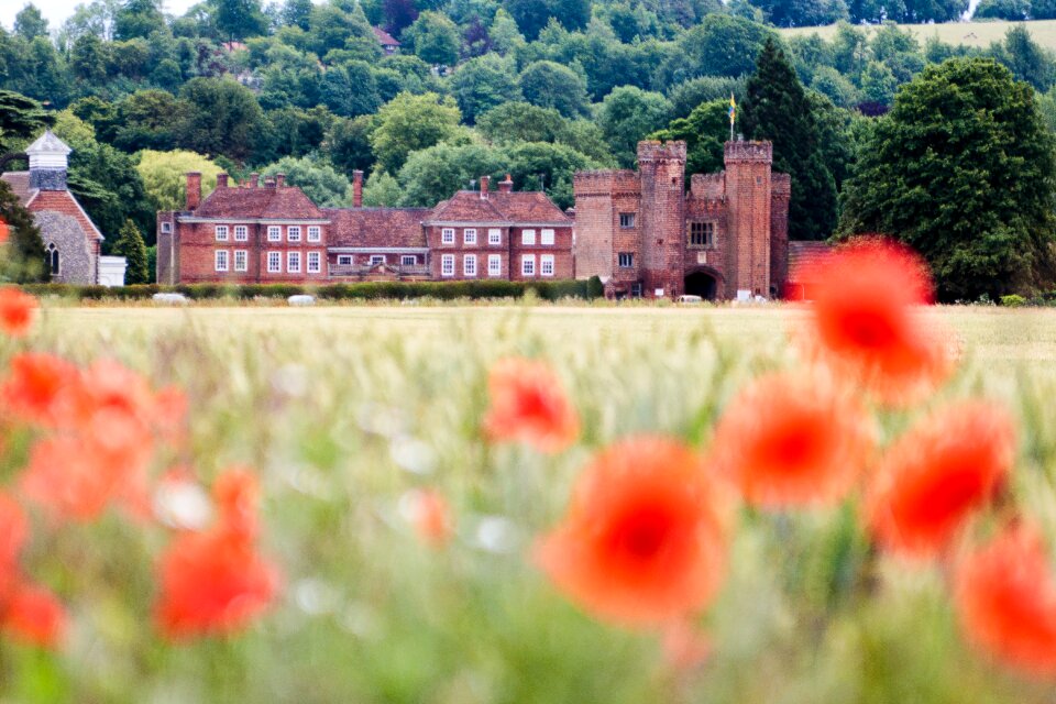 Poppy stately home landscape