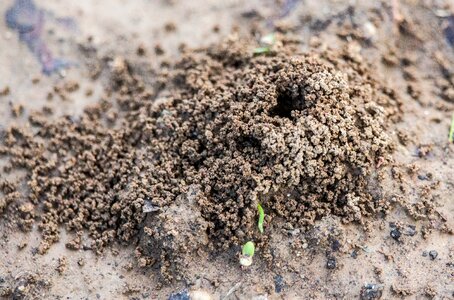 Soil nature ground