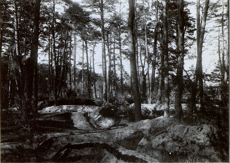Kriegsalbum 108, Bild 33177 (BildID 15728715)