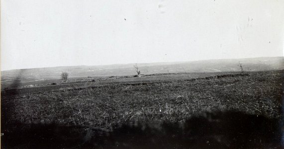 Kriegsalbum 106, Bild 32559 (BildID 15722184)