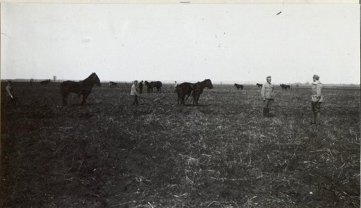 Kriegsalbum 106, Bild 32588 (BildID 15722387)