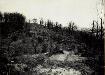 Kriegsalbum 108, Bild 33242 (BildID 15727012)