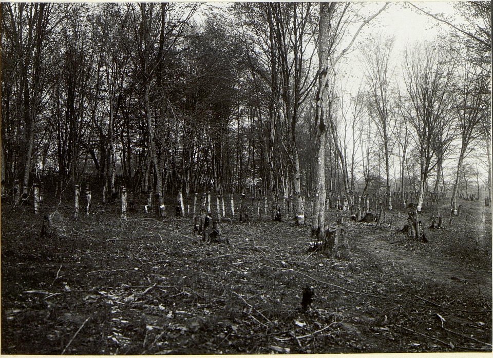 Kriegsalbum 106, Bild 32649 (BildID 15722814)