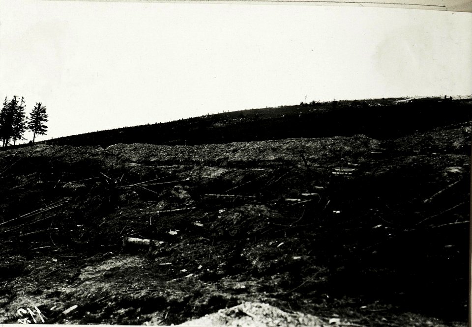 Kriegsalbum 19, Bild 5057 (BildID 15431275)