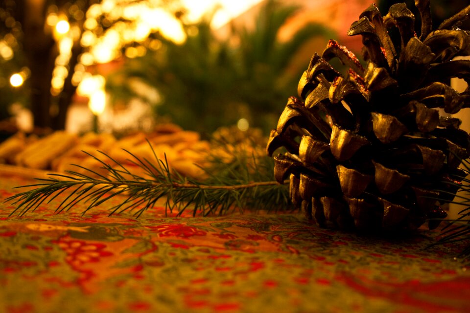 Pine decoration xmas photo